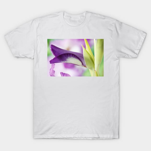 Gladiolus  'Nori' T-Shirt by chrisburrows